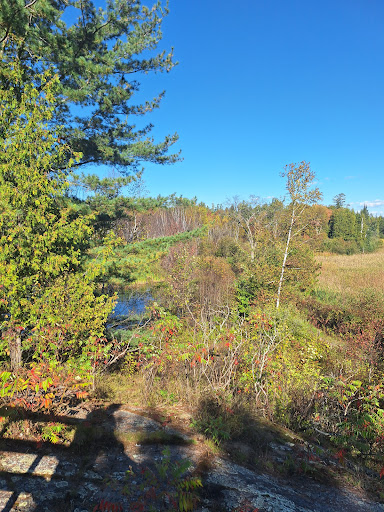 Photo of Laurier Woods Conservation Area - Brule St, North Bay, ON P1A 3Z5